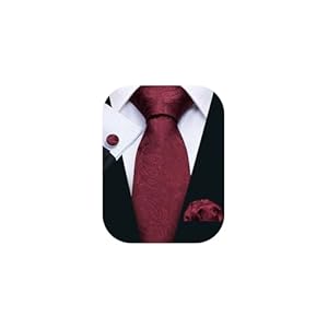 Hi-Tie Classic Paisley Tie Set for Men Woven Silk