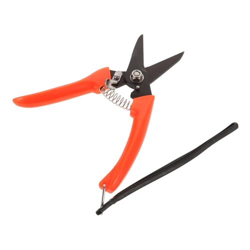 Abaodam C r MpoT~ prK[fc[ ɗDObvőȒP pzC[g}[