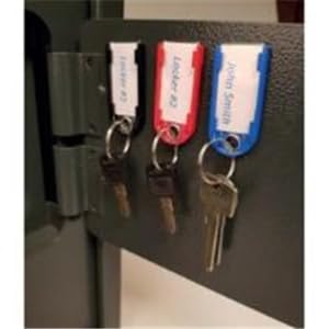 Pavo Magnetic Technology - Pack of 10 Magnetic Keychains, Magnets, 10 Pieces, 50g - Assorted Colour