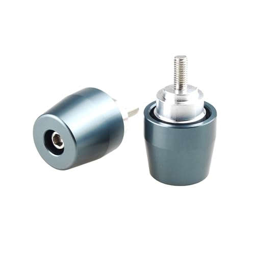 Embout de barre moto en carbone style crâne pour Honda GL 1800 2001-2008