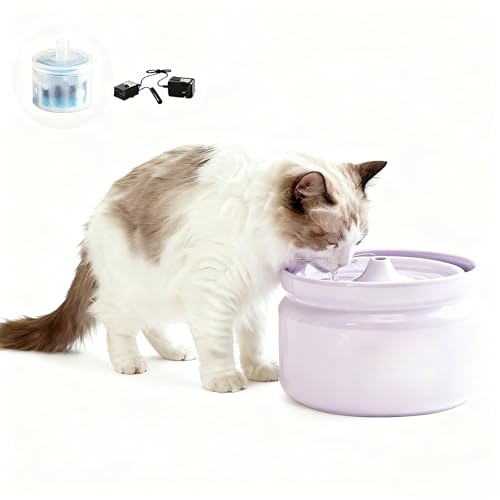 CHICMORy킲юM400ml & L1000mlzL݊ 1.5W ybg{E M É 5iKh [SN̔L⏬^p] ȒP a {E ybgpi 芴 􂢂₷ (Ap[v)