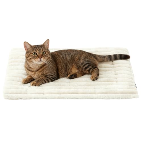 p N[g }bg - ybgP[WNbV - ps[P[WNbV,^^L P[W O ԗs ƒ Lv p