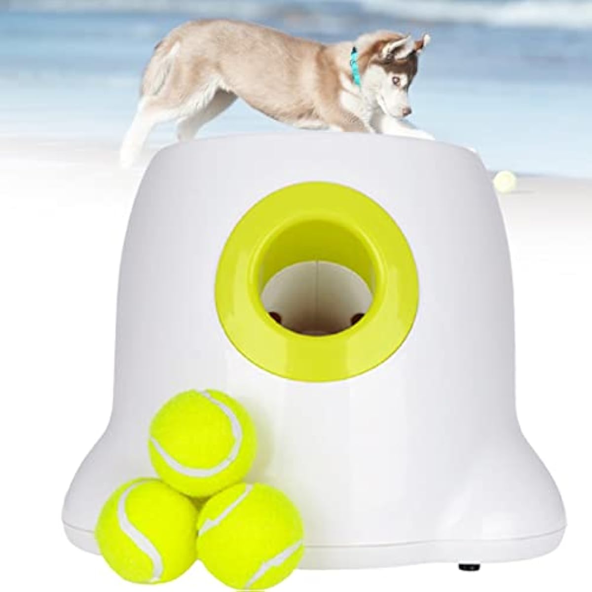 輸入品格安 Szdyq 投げるおもちゃ 中小型犬用の自動ボールランチャー インタラクティブ自動ボールランチャー犬のおもちゃテニスボール投げる機械犬の訓練用 ペット用品 海外 で 買う Civilittee Hu Com 輸入品格安 Szdyq 投げるおもちゃ 中小型犬用の自動ボールランチャー インタラクティブ自動ボールランチャー犬のおもちゃテニスボール投げる機械犬の訓練用 ペット用品 海外 で 買う Civilittee Hu Com