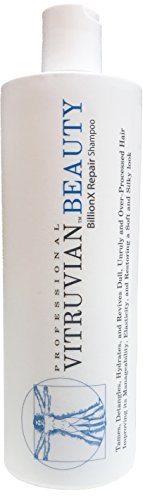 Hydrating Damaged Hair Shampoo: Gentle Cleansing Treatment and Moisturizer with Organic Argan Oil and Shea Butter for Dry, Frizzy or Curly Hair - Natural Products to Repair Split Ends - 16 Oz