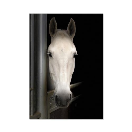 Art mural rustique de cheval blanc : toile FLUCK 70x105cm sans cadre pour salon