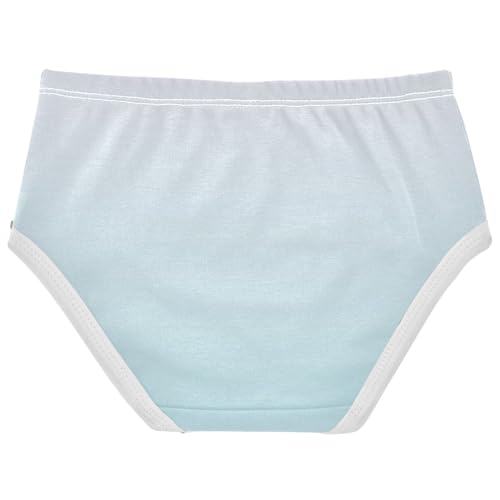 Joisal Artistic Girls Underwear Toddlers 2t Cotton Cute Panties Girl Magnolia Powder Blue Gradient Undies Kids Briefs2