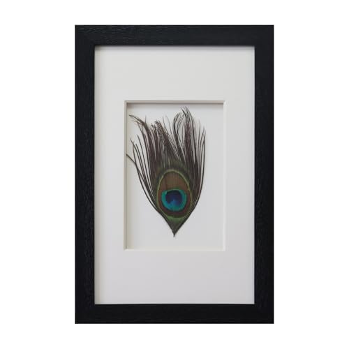 Peacock Room Decor Aesthetic,Modern Wall Decor，3d Framed Wall Art Paintings For Bedroom Bathroom Living Room Office Desk House Coffee Table Apartment Fireplace Tv Stand，Black Textured Room Decorations