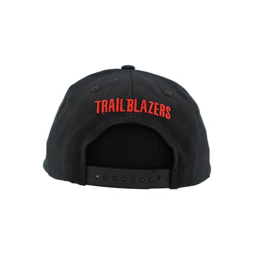 Image of ZHATS NBA Unisex-Adult NBA Officially Licensed Adjustable Snapback Hat Flat Bill Z11 Icon Team Color