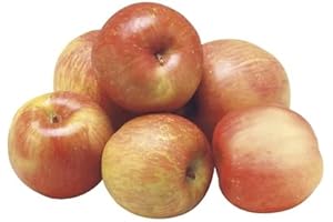 Organic Fuji Apples in a Convenient Bag