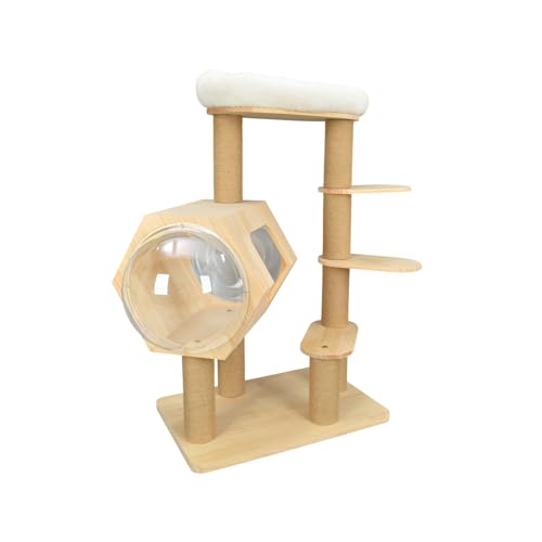 kaitou ؐ L^[ X ȃXy[X u  FD NA{E JvZ  W] ܂Ƃ   VjAL u^ Lpi (A^Cv)