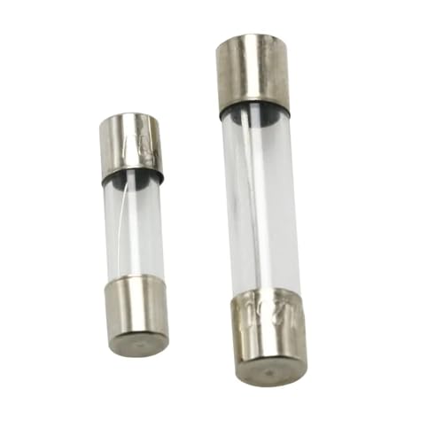 Fusibles en verre 5x20mm 25A à fusion instantanée sous 250V, boîtier transparent (10pcs)