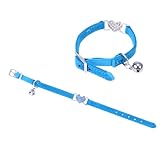 Strass - une bonne aide pour promener le chien.