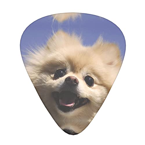 Ensemble de 12 médiators de guitare de Poméranie mignons pour guitare acoustique, guitare électrique, contrebasse… - Les Beatles, Paul McCartney, John Lennon, RIngo Starr, George Harrison Ensemble de 12 médiators de guitare de Poméranie mignons pour guitare acoustique, guitare électrique, contrebasse…
