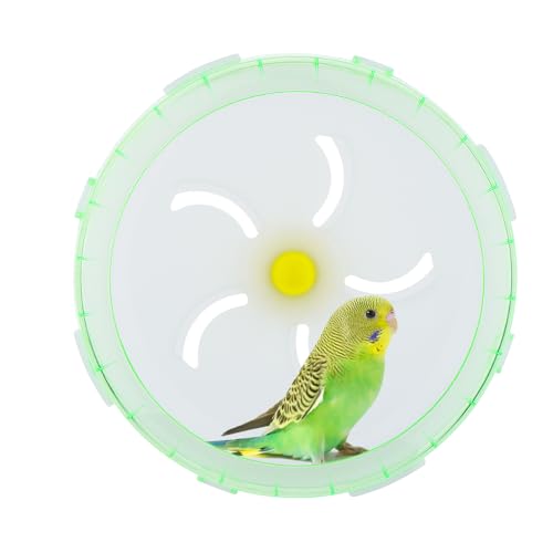 Bird Silent Wheel Toy Parrot Exercise Wheel Parrot Intelligence Toy Quiet Spinner Running Wheel for Bird Parrot Small Animal (Green)