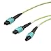 L-COM - MPM24-MPM212OM5R-1 - Fibre Cord, MPO Plug-MPO Plug, MM, 1M