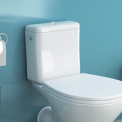 Miniatura 6 de Bazeitflow Pulsador Doble Descarga Para Cisterna De Inodoro Botón Redondo Plateado Con Varilla Compatible Con Tapa De Fácil Instalación Y Duradero