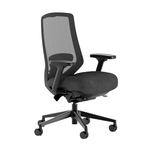 Branch Ergonomic Chair Pro