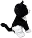 Shelter Pets: Peppa The Tuxedo Cat - 10