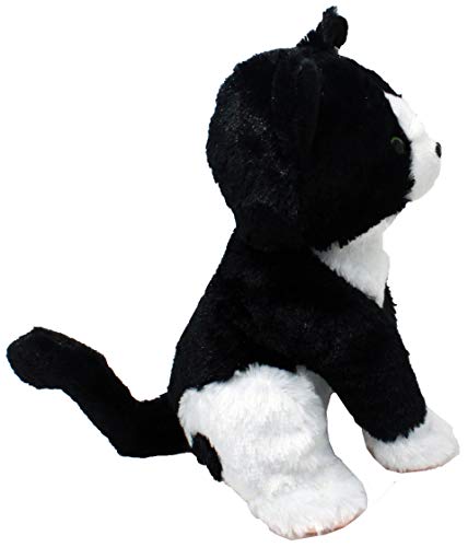 Shelter Pets: Peppa The Tuxedo Cat - 10