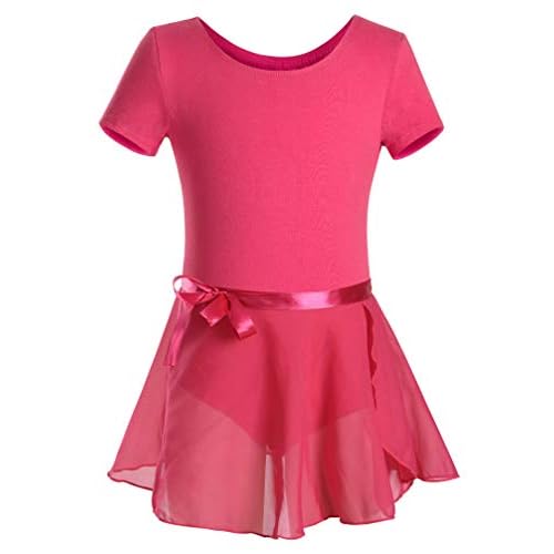 DANSHOW Girls Short Sleeve Leotard with Skirt Kids Dance Ballet Tutu Dresses