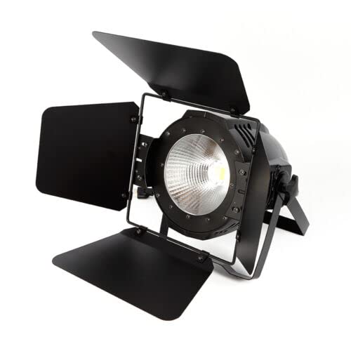 2 in 1 LED Par Light, 100 W COB Faro DMX, luce da palcoscenico bianco freddo/bianco caldo, luce stroboscopica per fotografia, chiesa, banchetto, matrimonio, teatro