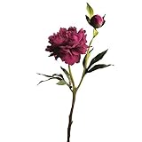 Mastersword [Explicit]