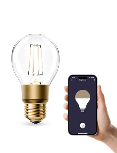 Refoss Lampadina WiFi E27, LED dimmerabile vintage, Bianco caldo, 6W (equivalente a 60W), Smart Edison A19, Compatibile con Alexa e Google Assistant, Nessun hub richiesto