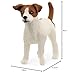 SCHLEICH 13916 Jack Russell Terrier, ab 3 Jahren, Farm World - Spielfigur, 5 x 2 x 4 cm