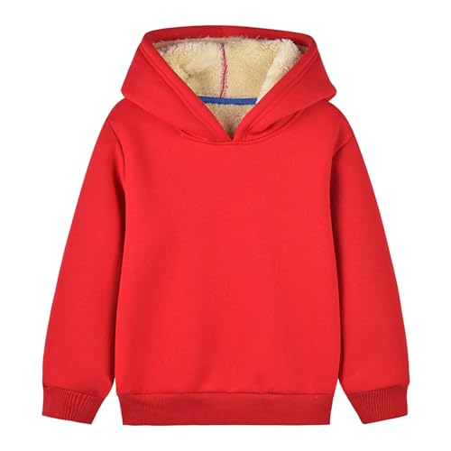 Boy Girls Fuzzy Sweatshirts with Hoodies Casual Long Sleeve Pullover Blouses Winter Warm Hiking Outdoor Outfits