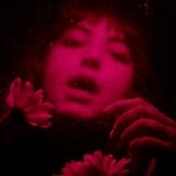 Photo Gallery do you find it fun?