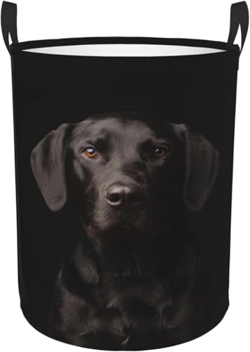 h[oXPbge 󂩂 h DSȍ̃uh[ [ 󕨓 [{bNX ܂ e G [obO QA󎺁A LN^[ 킢 ~^ M