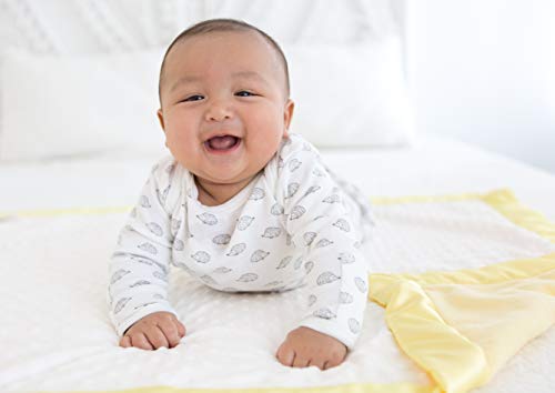 Image of SwaddleDesigns Stroller Blanket, Cozy Plush Baby /Toddler Blanket, 30x40 inches, Plush Dots with Pastel Yellow Satin Trim