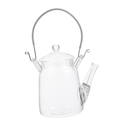 EXQUIMEUBLE Bollitore in Vetro Trasparente Corpo in Acciaio Inossidabile Contenitore Raffreddamento Bevande Portatile per Tè e Freddo Caraffa per Succhi e Latte