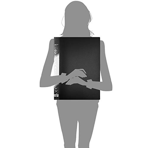 Presentation Book 40 Clear Pockets Sleeves Protectors Art Portfolio Clear Book for Artwork, Report Sheet, Letter (Can Accommodate 16.5 X 12.1inch)