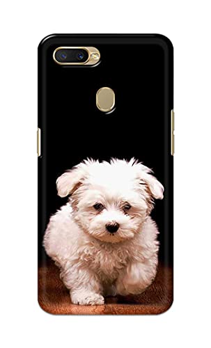 Image of PRINTFIDAA� Printed Hard Back Cover Case for Oppo A7 | Oppo A5s | Oppo A12 | Oppo A11k | Oppo A12s Back Cover (Puppy Dog) -2808