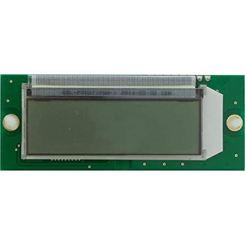 Raypak 013640F LCD Display