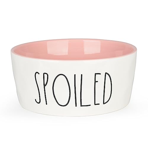 Upgrade Your Pet's Dining Experience with These Top 10 Ceramic Dog Food