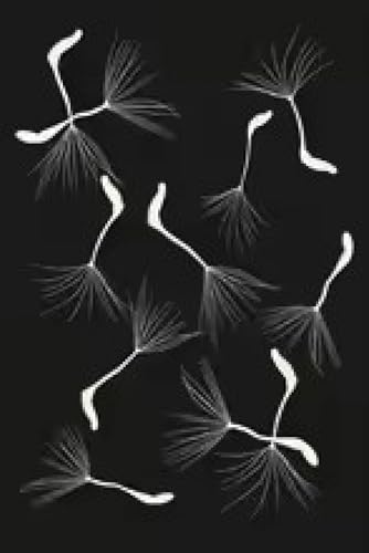 Affiche avec cadre 70x100cm pour sublimer un grand mur vide