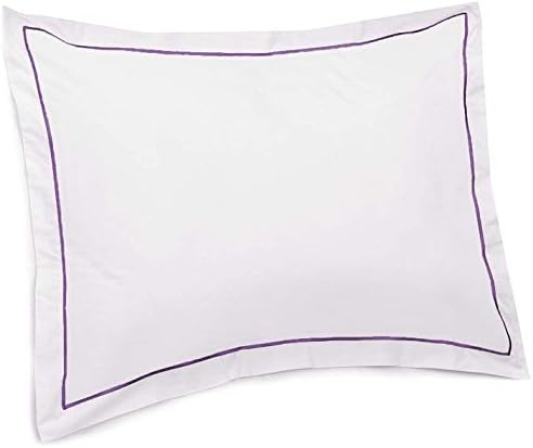 Hospitality Grade Ultra Comfort 400 Thread Count Cotton 2 Piece Pillow Sham Set Standard Size White with Light Blue Border