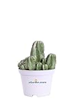 eGarden.store