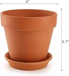 4 Pack Terracotta Plant Pots with Saucer, Large 6 Inch Terra Cotta Plant Pot with Drainage Hole, Clay Flower Pot with Tray for Indoor Outdoor Plants, Crafts Terra Cotta Planter
