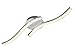 Produktbild Briloner Leuchten  LED Deckenleuchte, wellenförmige Deckenlampe, 2-flammig, 2 x 6W, warm weißes Licht, 55.4 cm, aluminiumfarbig
