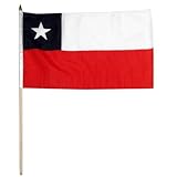 US Flag Store Chile Flag, 12 by 18-Inch