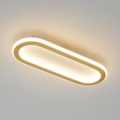 Plafonnier en or moderne LED ovale pour salon et chambre