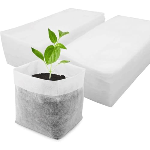 Mejores comprativas On-line Macetas biodegradables huerto de esta semana. 9 Imagen adicional