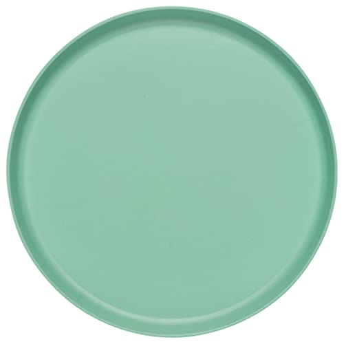 Now Designs Ecologie Dinner Plates, Set Of Four, Fiesta Colors, Dia 10 X H 1 Inches #TOP1