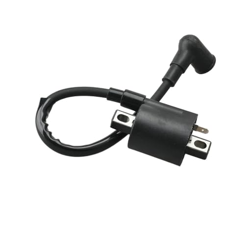 Bobina de encendido para reactivar el motor marino 2T 5HP de su bote 4