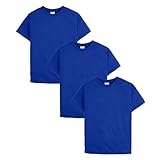 Hanes boys Hanes Boys' Ecosmart Short Sleeve Tee Value Pack (3-pack) T Shirt, Deep Royal, Medium US