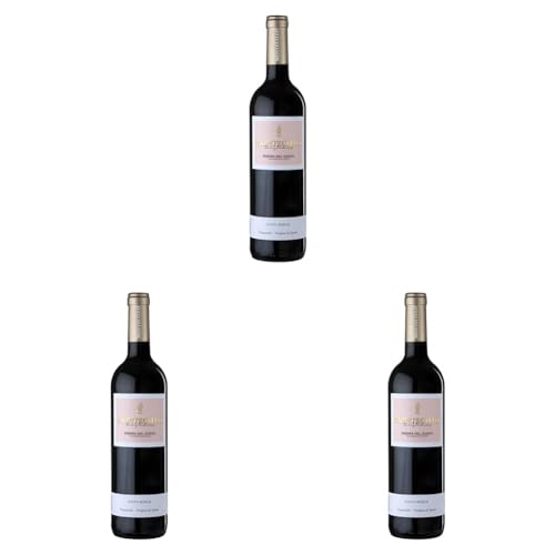 Montecillo Singladuras Ribera del Duero - 1 botella de 75 cl (Paquete de 3)