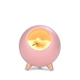 Small Pet House Atmosphere Night Light USB Charging Creative Cute Pet Cat Led Home Bedroom Bedside Nursery Light Illusion Lamp